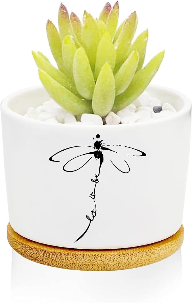 Window Garden Dragonfly Planter Pots, Dragonfly Gifts by Databa