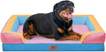 Comfort Expression Orthopedic Dog Bed by ComfortExpression
