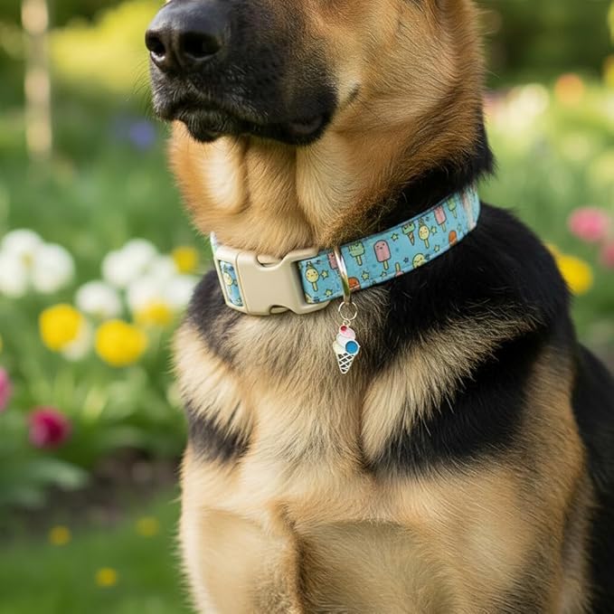 Blue Dog Collar for Large Dogs, Boy Girl Dog Collar - Image 5