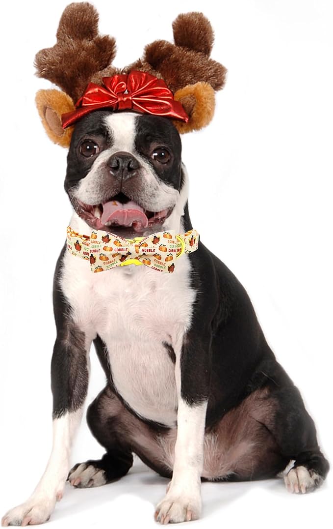 Dog Collar, Thanksgiving Turkey Pet Collar Bow Holiday Girl Boy Puppy Collar - Image 5