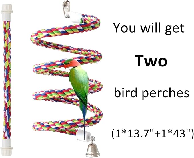 Rope Bungee Bird Toy - Image 2