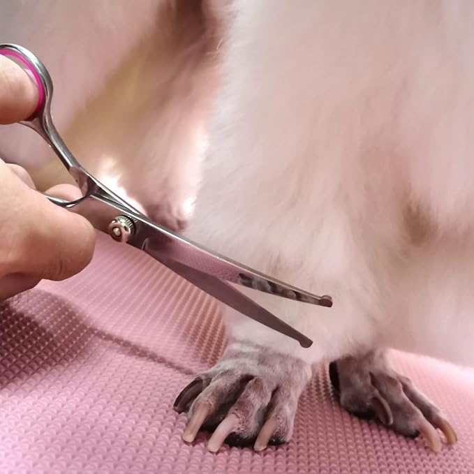 Dog Grooming Scissors with Safety Round Tips Stainless Steel Professional Dog - Image 7