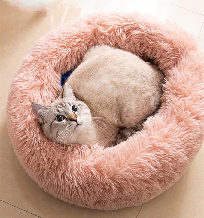 Large Cat Beds for Indoor Cats by Unknown