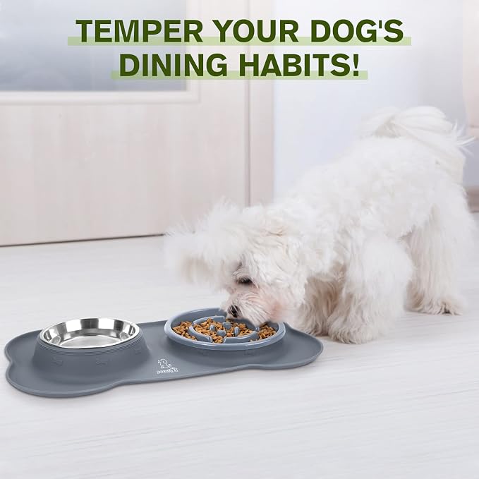 Pecute Slow Feeder Dog Bowls to Slow Down Eating, Dog Bowl Slow Feeder - Image 9
