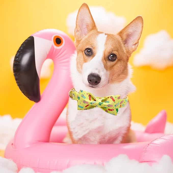 Elegant Little Tail's Cute Bowtie Dog Collar - Image 5