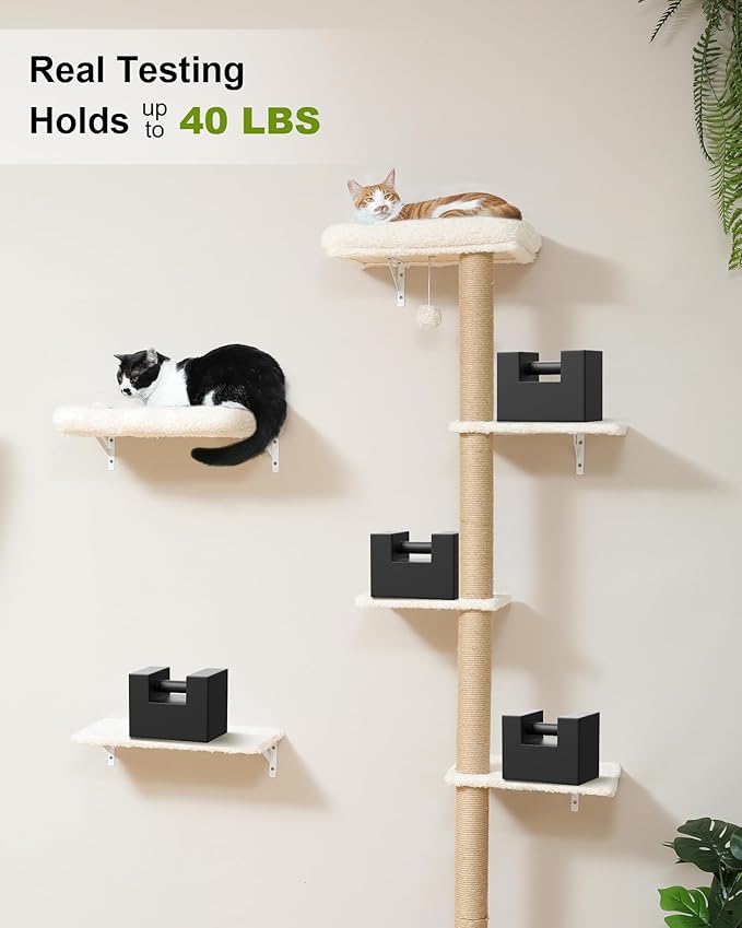 FUKUMARU Cat Wall Shelves, Stable Wall Mounted Cats Furniture Set, Kitten - Image 5