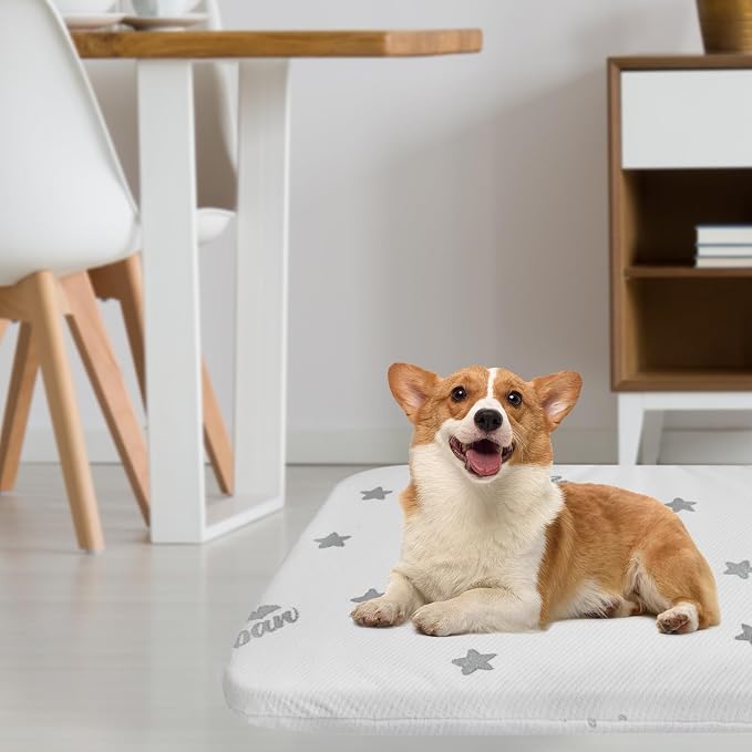 Biloban Waterproof Dog Beds for Dogs, Washable Mat Pad, Memory Foam Dog Beds & - Image 4