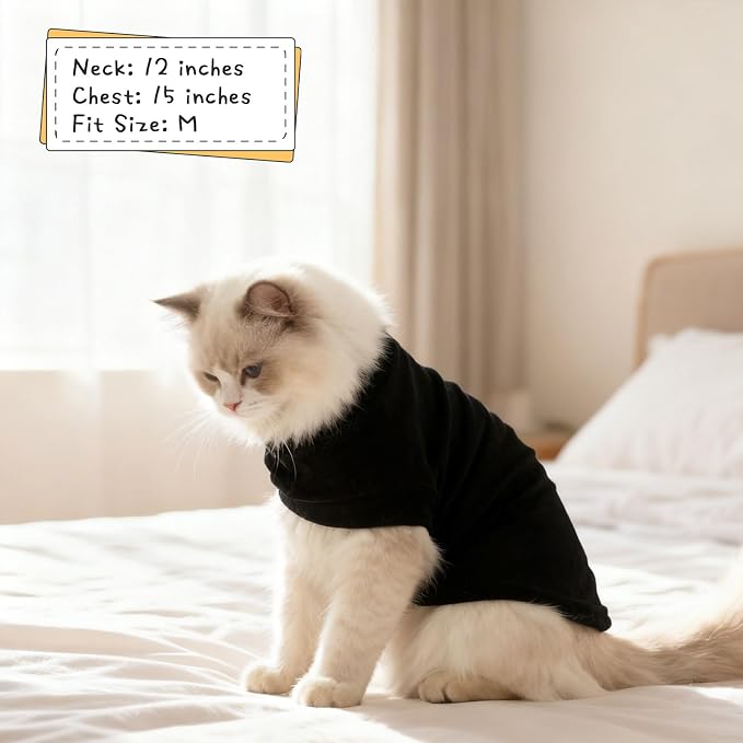 EXPAWLORER Soft Cat Sweater - Image 5