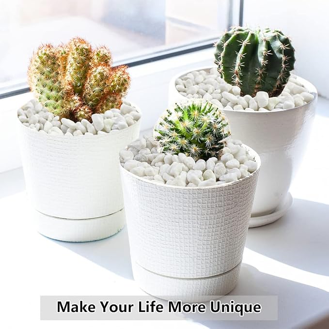 2LB Succulent and Cactus Gravel Pebbles, 1/5 Inch White Natural Decorative - Image 5