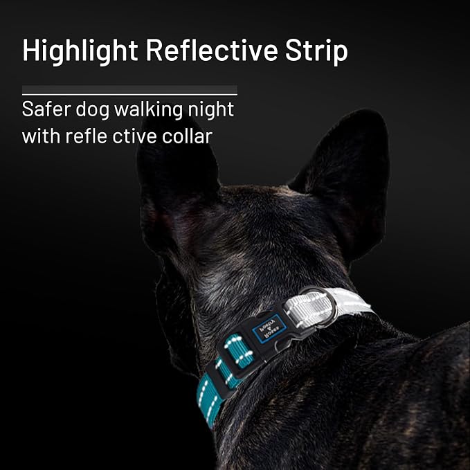 Roses&Poetry Dog Collars for Medium Dogs, Adjustable Durable Pet Collars for - Image 5