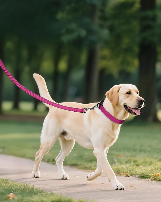 Joytale Reflective Dog Collar, Adjustable Nylon Pet Collar - Image 6