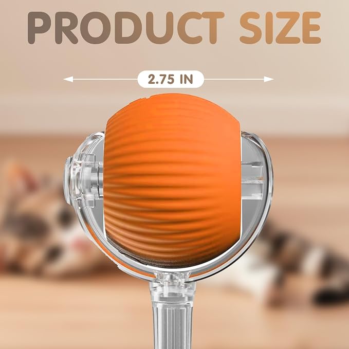 Rocfish Durable Interactive Cat Toys - Image 9