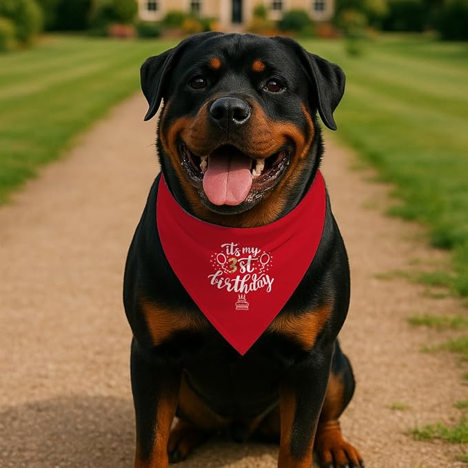 Birthday Dog Bandana, It's My 3 st Birthday Pet Costumes, Adjustable - Image 3
