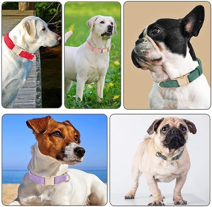 Soft Cotton Dog Collar with Metal Buckle Adjustable Heavy Duty Comfy Corduroy - Image 4