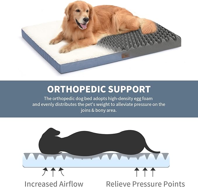 Plush Orthopedic Dog Bed for Medium Dogs & Puppies, Waterproof Dog Beds 30x20 - Image 2