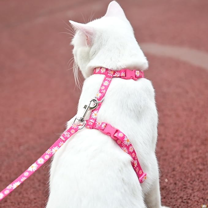 KOOLTAIL Cat Harness and Leash Set, Escape Proof Adjustable Kitten Harness - Image 7