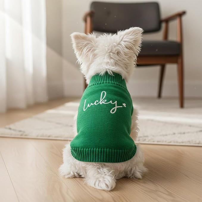 Personalized Dog Sweater, Custom Knit Sweater - Image 3