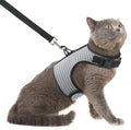 PUPTECK Soft Mesh Cat Vest Harness and Leash Set Puppy Padded Pet Harnesses by PUPTECK