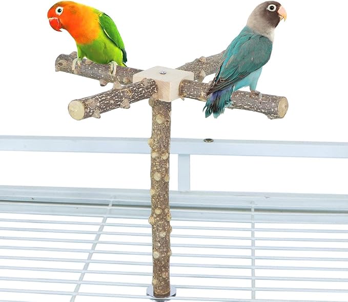 Bird Perch Stand Toy, Interactive Spinning Bird Toys, Wooden Parrot Perch - Image 2