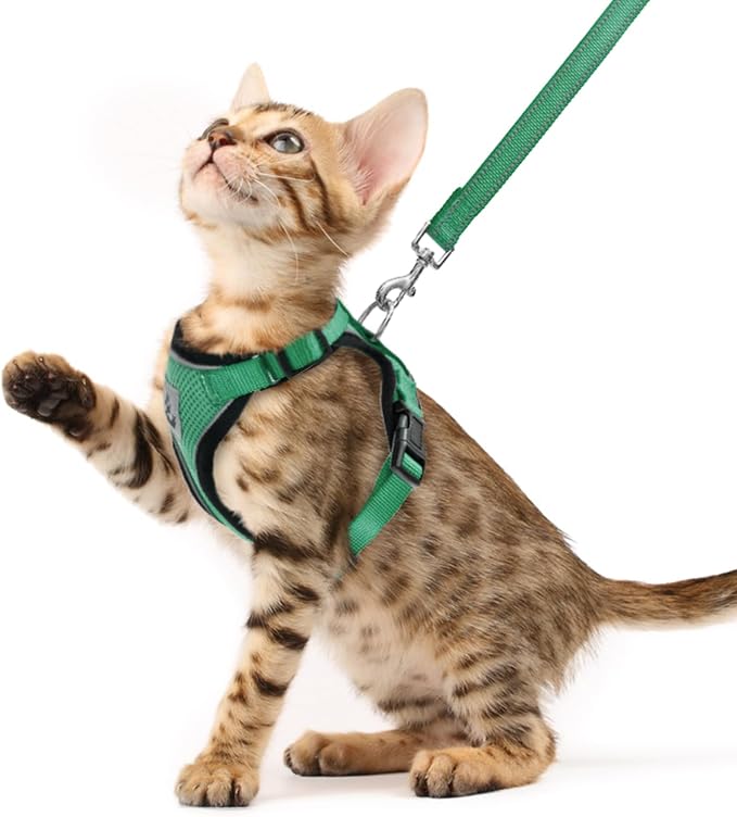 PUPTECK Cat Harness and Leash Set Escape Proof Reflective Cat Walking Harness by PUPTECK