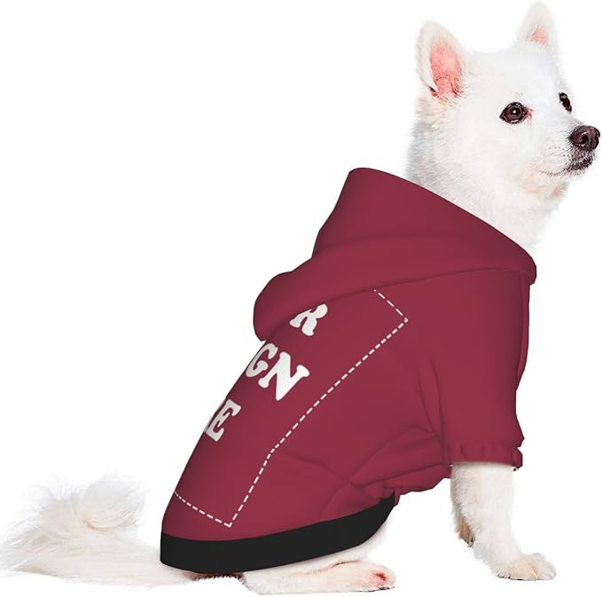 Personalized Dog Hoodie, Custom Dog Costumes - Image 2