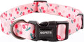 QQPETS Adjustable Soft Dog Collar: Print Flower Pink Multicolor Cute Patterns by QQPETS