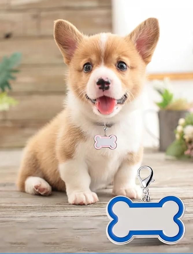Double-Sided Personalized Dog Tags - Image 3