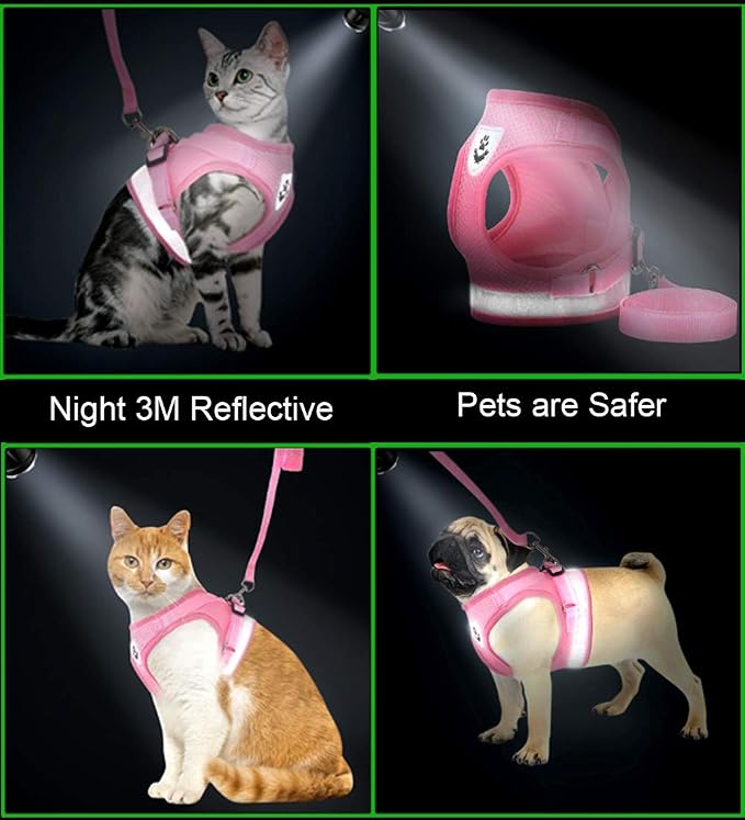 Cat Harnesses and Puppy Harness - Image 5