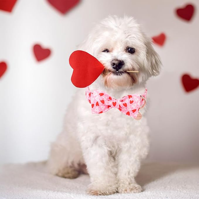 Valentine’s Day Dog Collar - Image 5