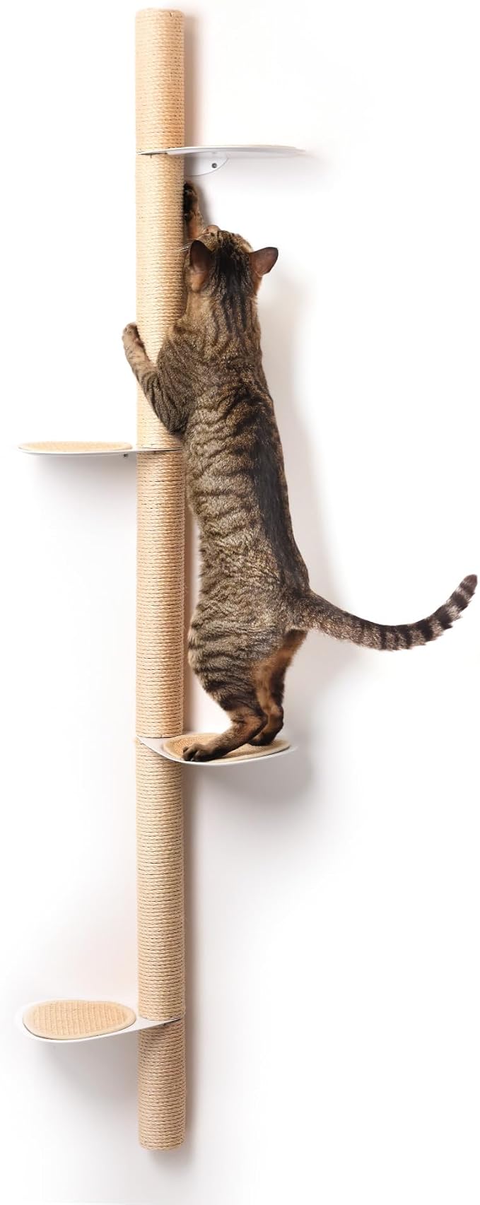 68" Tall Wall-Mounted Cat Tree – Modern Space-Saving Cat Shelf by xympo