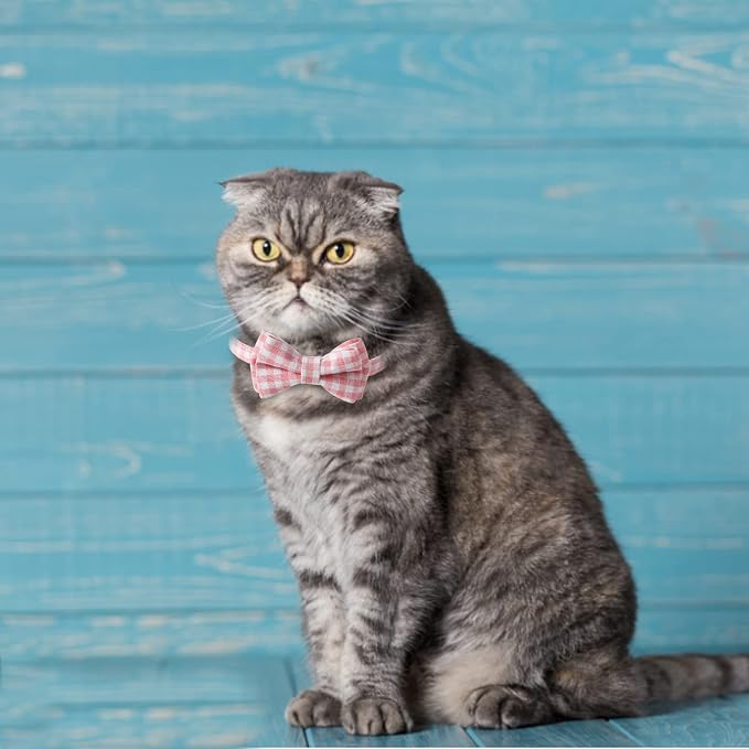 AIITLE Breakaway Cat Collar - Image 5