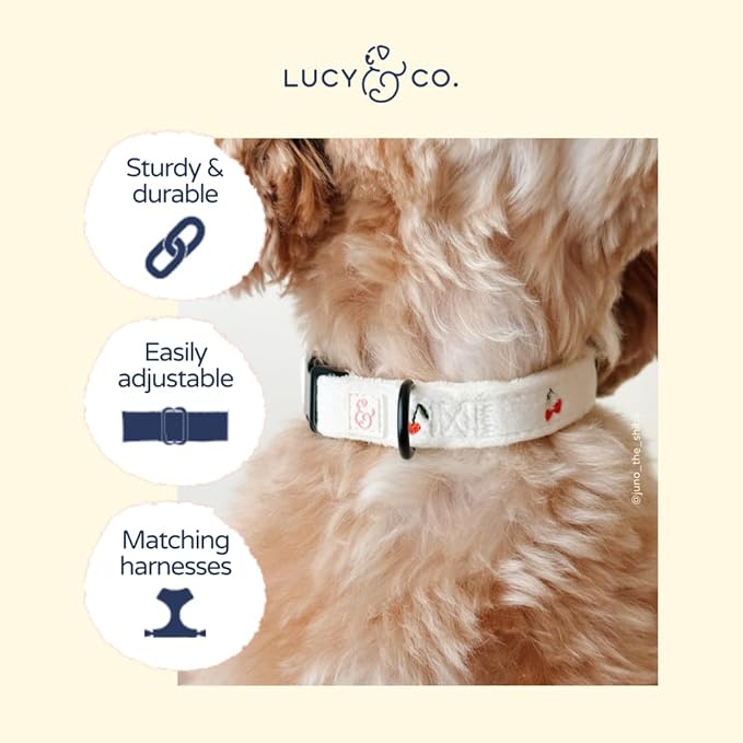 Lucy & Co. Silly Goose Dog Collar, Adjustable Durable Dog Collar - Image 3