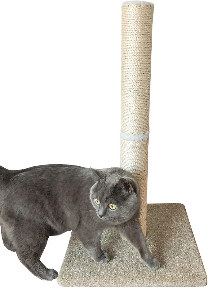Cat Scratching Post Carpet, Tall Big Sisal Rope Cat Scratch Pole - Image 7