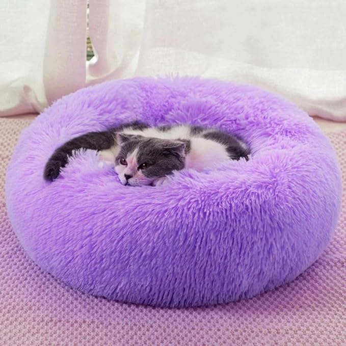 Purrfect Cat Beds - Image 6