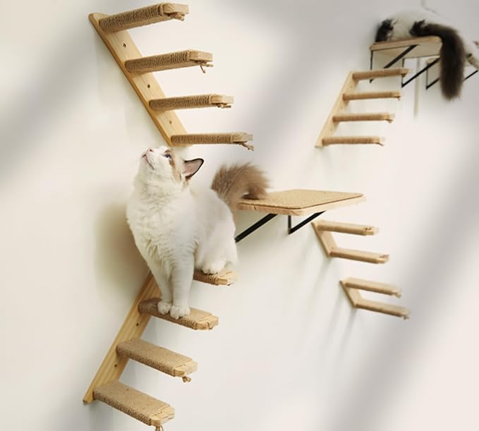 Strong Cat Shelves Stairs for Wall Mounted, 1P Cat Shelf& 2PCS 4 Steps Stairway - Image 2