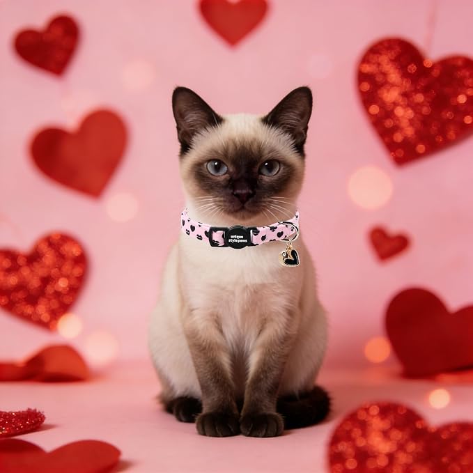 Unique style paws 2 Pack Valentine Kitten Collar Breakaway - Image 5