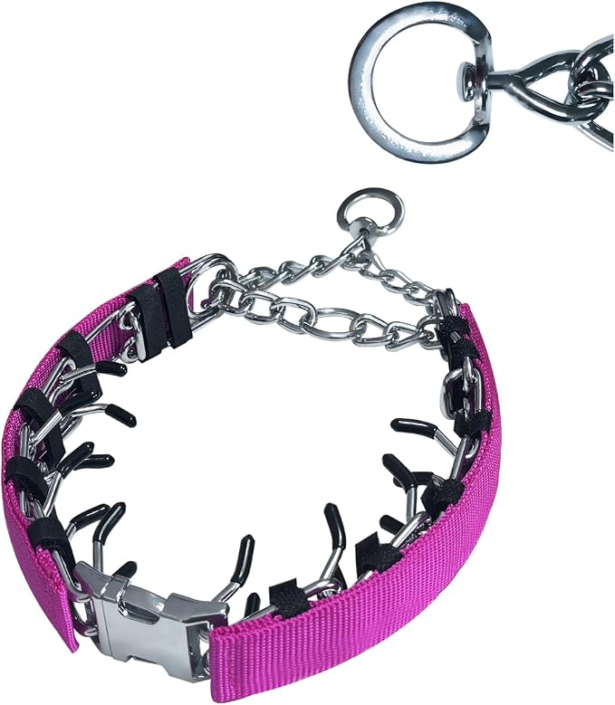 Adjustable Collar with Quick Release Buckle Collars by HAESINPAfunwithfashion