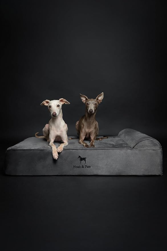 NOAH & PAW Large Dog Bed, Orthopedic Dog Beds, Eggshell Memory Foam Infused - Image 3