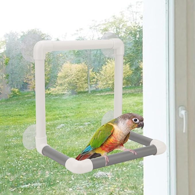 Hypeety Bird Portable Suction Cup Parrot Shower Perch Window Standing Platform - Image 6