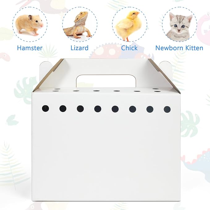 Disposable Cardboard Pet Carrier - Image 5