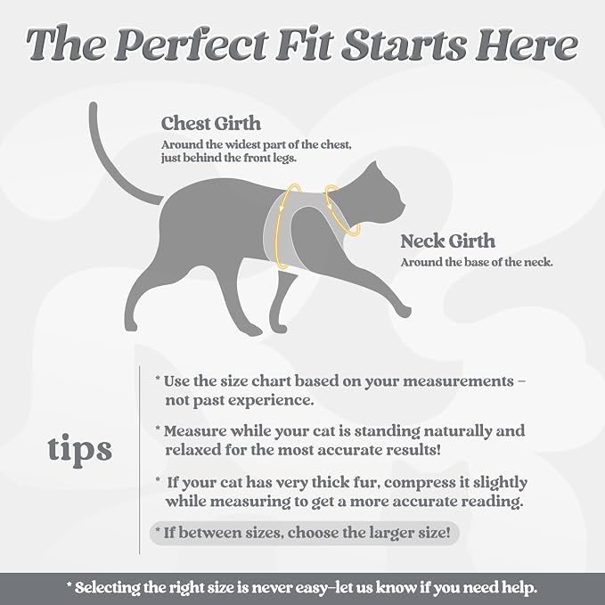 rabbitgoo Cat Harness and Leash Set - Image 2