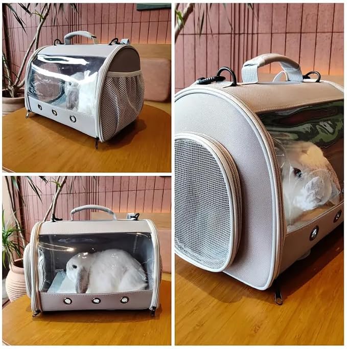Bearded Dragon Travel Carrier Backpack, Lizard Backpack Carrier, Space Capsule - Image 6