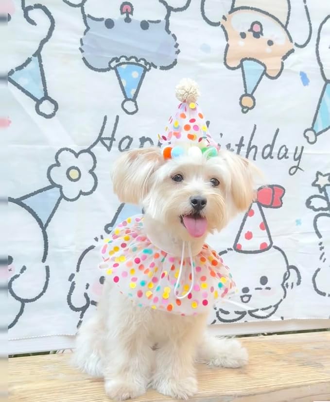 Cat Dog Princess Costumes Puppy Cat Birthday Bandana Scarf and Party Hat Cute - Image 8