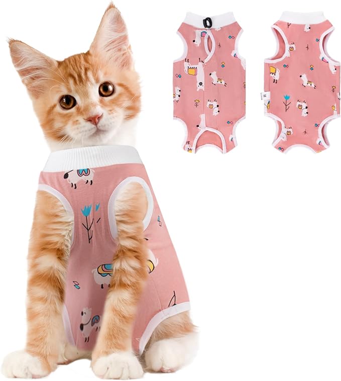 Coppthinktu Cat Recovery Suit Female, Breathable Cat Onesie After Surgery Female by Coppthinktu