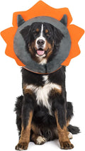 IEUUMLER Inflatable Recovery Dog Collar, Protective Donut Cone, Adjustable Soft by IEUUMLER