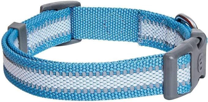 Blueberry Pet Essentials Reflective Dog Collar - Image 6