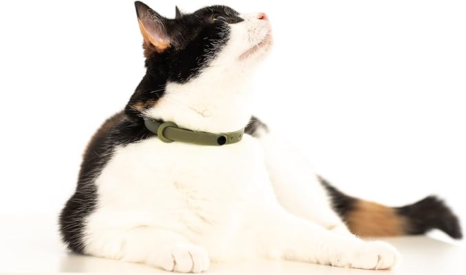 3 Pack Breakaway Cat Collar - Image 7