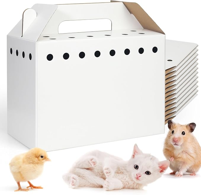 Disposable Cardboard Pet Carrier by Harhana