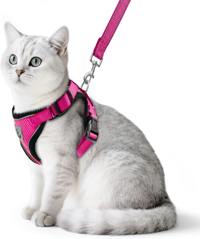 PUPTECK Cat Harness and Leash Set Escape Proof Reflective Cat Walking Harness by PUPTECK