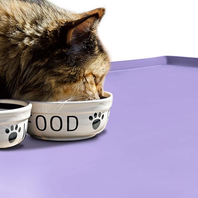Dog Food Mat, Silicone Waterproof Food Tray, Non Slip Pet Bowl Mats Placemat - Image 6